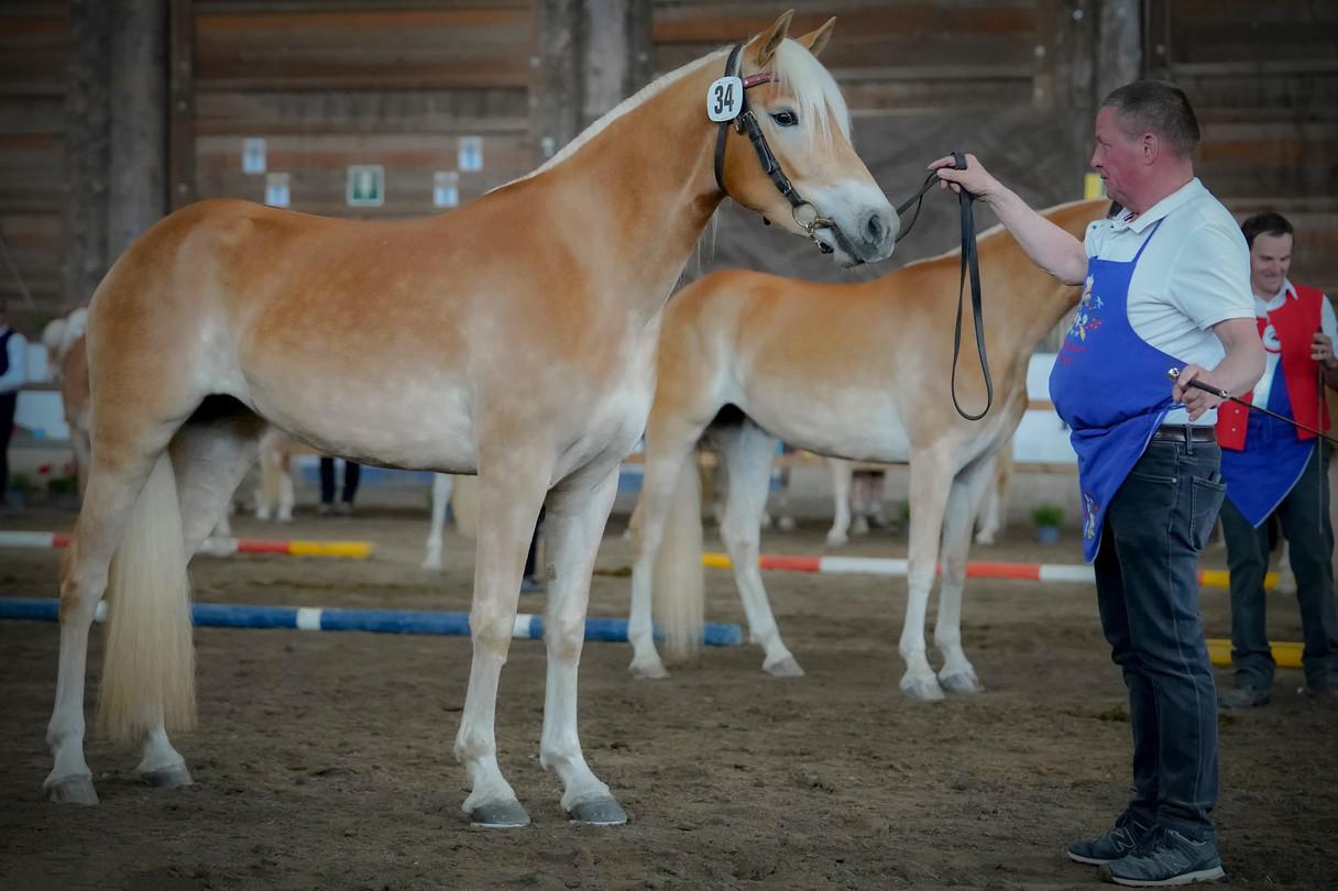 La 4^ Classificata E Belli PB di ZöggelerTobias